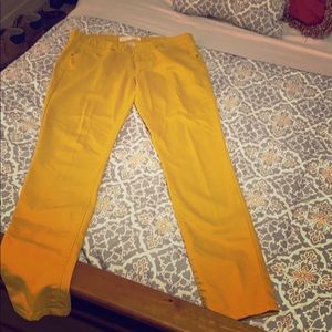 Women’s pants.
